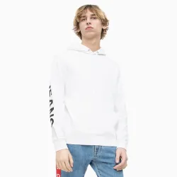 institutional back logo hoodie